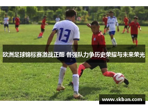 欧洲足球锦标赛激战正酣 各强队力争历史荣耀与未来荣光